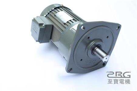立式減速電機.JPG